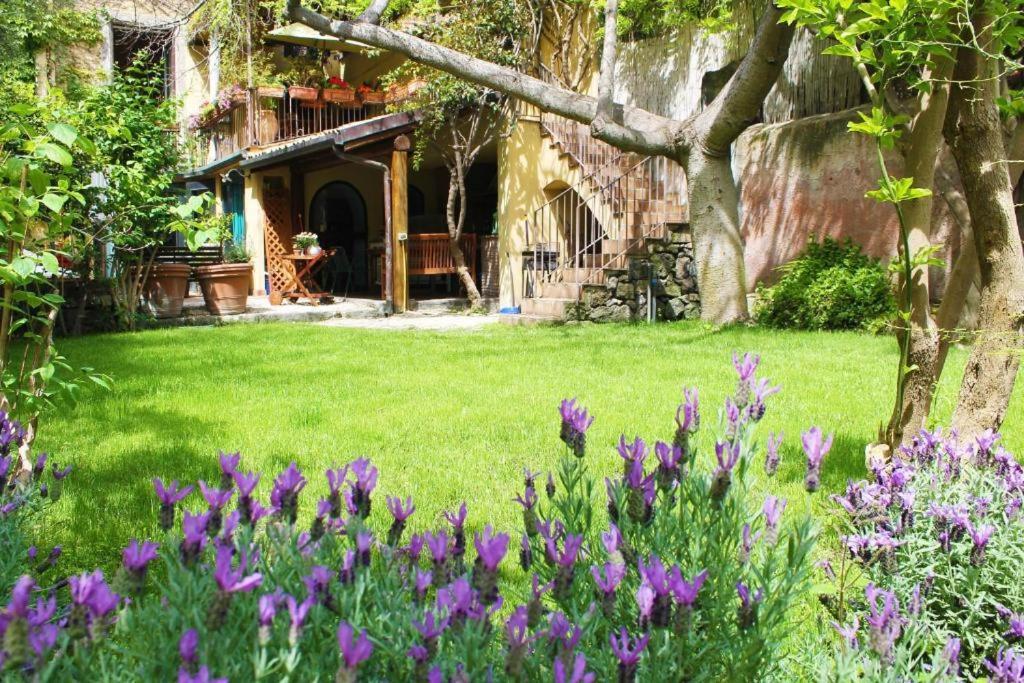 Inn The Garden Apartament Κατάνια Εξωτερικό φωτογραφία