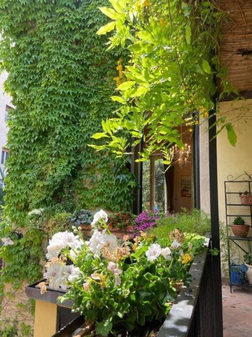 Inn The Garden Apartament Κατάνια Εξωτερικό φωτογραφία