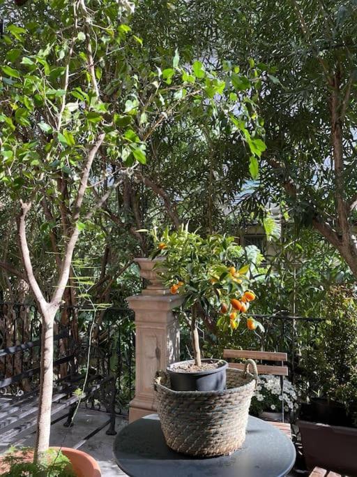 Inn The Garden Apartament Κατάνια Εξωτερικό φωτογραφία