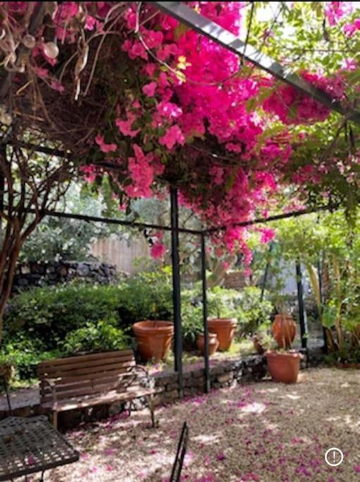 Inn The Garden Apartament Κατάνια Εξωτερικό φωτογραφία