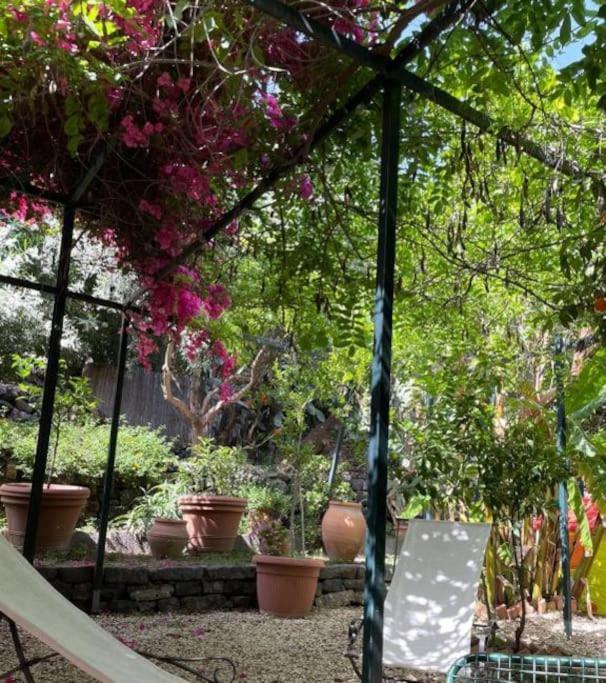 Inn The Garden Apartament Κατάνια Εξωτερικό φωτογραφία